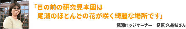 「目の前の研究見本園は尾瀬のほとんどの花が咲く綺麗な場所ですよ」尾瀬ロッジオーナー萩原 久美枝さん